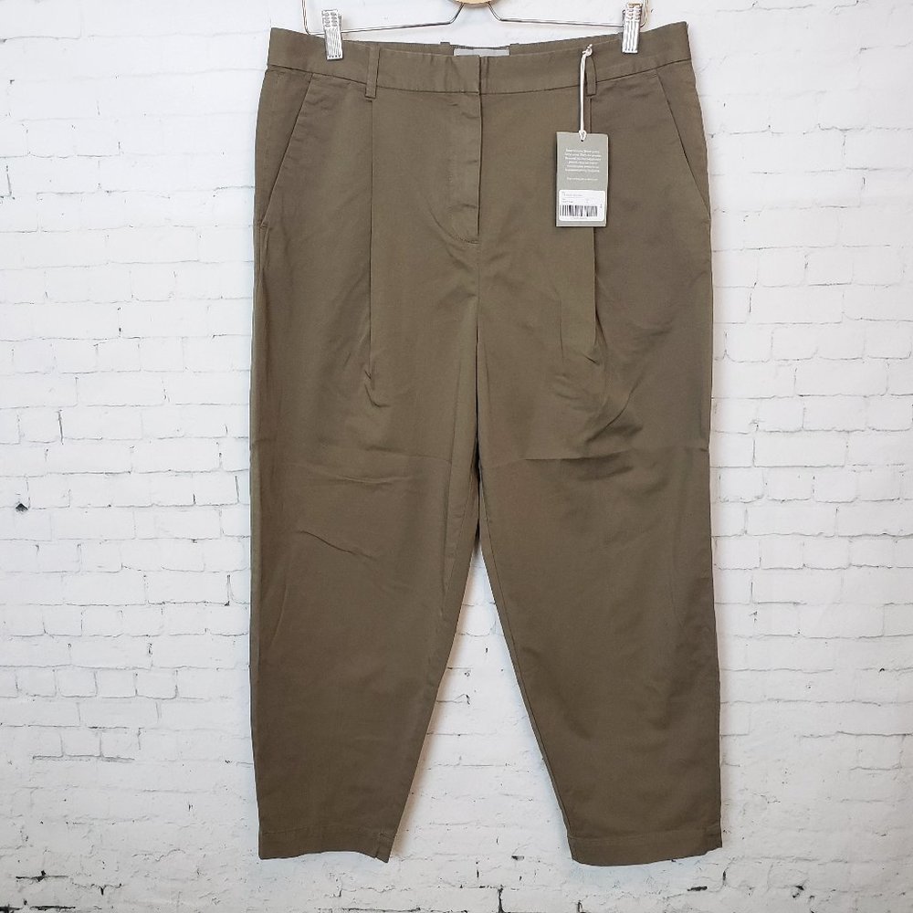 Everlane The Slouchy Chino Pant Covert Green 12